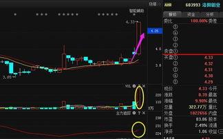 洛阳媒体爆料最新消息,揭秘重大事件背后真相